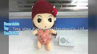 Εγγράψιμο κιβώτιο ήχου για βελούδινα παιχνίδια